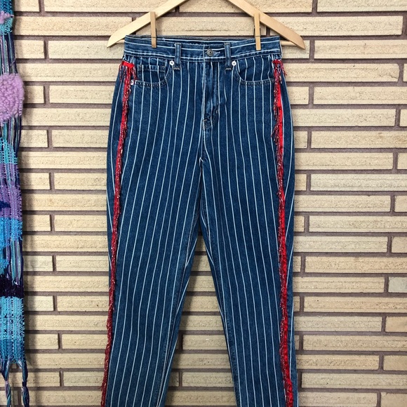 Denim Pin Stripe Jeans with Vintage Fringe - American Eagle Mom Jeans - Waist 26 - Picture 1 of 16